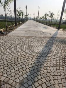 Image of 1000 Sq.ft Residential Plot / Land for sale in Tirupati Homes , Papnamow, Lucknow for Rs. 1800000