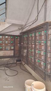 Image of 625 Sq.ft 1 BHK Apartment / Flat for sale in Gopalpatti, Pune for Rs. 2900000