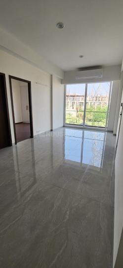 MRG Crown Main Image 1