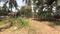Mannuthy Plot View 2