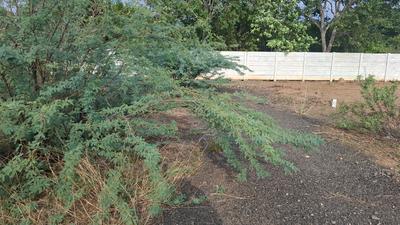 Image of 1200 Sq.ft Residential Plot / Land for sale in Nagamangalam, Tiruchirappalli for Rs. 1500000