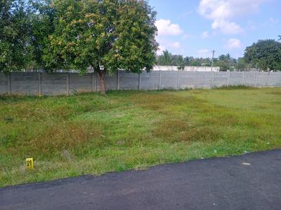 Mahabalipuram Plot View 2