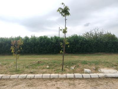 Image of 140 Sq.ft Residential Plot / Land for sale in G And G Amolik Blossom Woods, Tajupur, Faridabad for Rs. 14700000