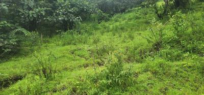 Image of 160000 Sq.ft Residential Plot / Land for sale in Panshet, Pune for Rs. 44800000