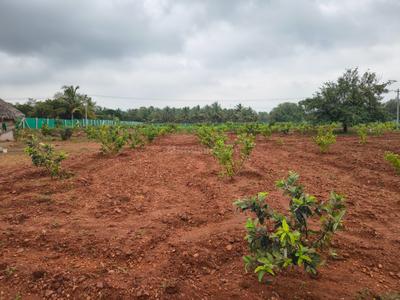 Image of 5432 Sq.ft 2 BHK Farm House for sale in Natham, Dindigul for Rs. 900000