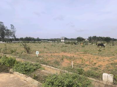 Image of 900 Sq.ft Residential Plot / Land for sale in Hoskote, Bengaluru for Rs. 2520100
