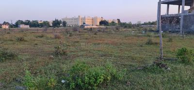 Farmhouse at lambakheda More Images 2