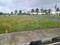Padappai Plot View 2