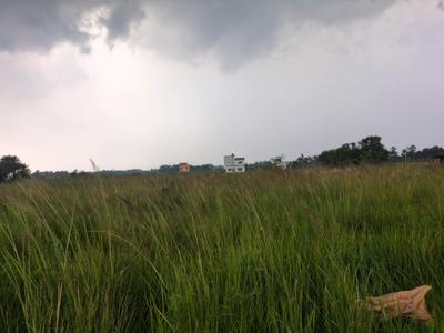 Image of 1440 Sq.ft Residential Plot / Land for sale in Raspunja Township, Joka, Kolkata for Rs. 470000