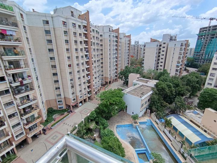 Sattva H And M Royal Main Image 1