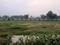 Vatika India Next Plot Main Image 1