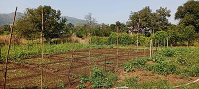 Image of 1089 Sq.ft Residential Plot / Land for sale in Dronagiri, Navi Mumbai for Rs. 720000
