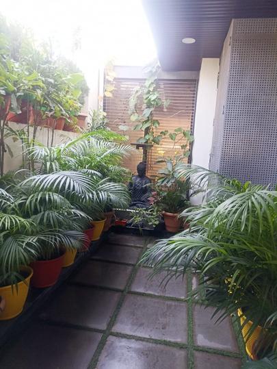 Shiva Farm Main Image 1