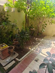 Balcony Image of 1808 Sq.ft 3 BHK Duplex for rent in Adarsh Nagar Durg for Rs. 15000