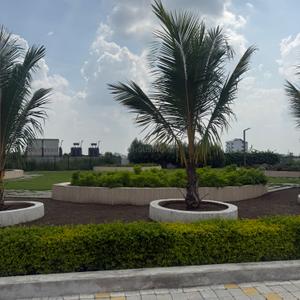 Image of 800 Sq.ft Residential Plot / Land for sale in Kunj Vihar I, Sanwer, Indore for Rs. 3200000