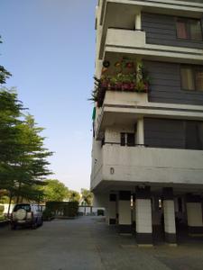 Image of 1000 Sq.ft 2 BHK Apartment / Flat for rent in Sainath Sai Royal Retreat, Musakhedi, Indore for Rs. 16500