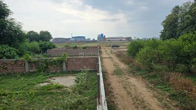 Bihta Plot View 3