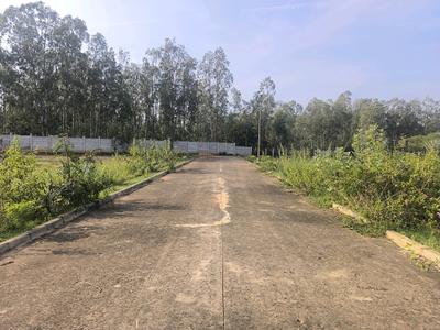 Image of 1100 Sq.ft Residential Plot / Land for sale in Hoskote, Bengaluru for Rs. 3135200