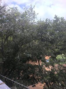 Bedroom Five Image of 3150 Sq.ft 5 BHK Apartment / Flat for sale in Bangalore City Municipal Corporation Layout Bengaluru for Rs. 29000070