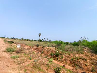 Image of 4624 Sq.ft Residential Plot / Land for sale in Avinashi Taluk, Tiruppur for Rs. 10000000