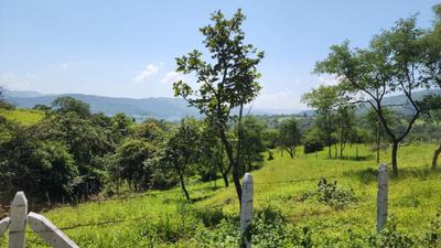 Image of 22000 Sq.ft Residential Plot / Land for sale in Varasgaon, Pune for Rs. 7000000