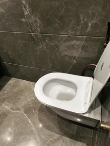 Common Bathroom Image of 1100 Sq.ft 3 BHK Builder Floor for rent in Palam Vihar Gurgaon for Rs. 41000