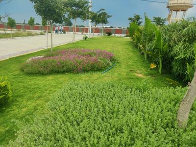 Image of 1000 Sq.ft 3 BHK Farm House for sale in Bada Bangarda, Indore for Rs. 4700000