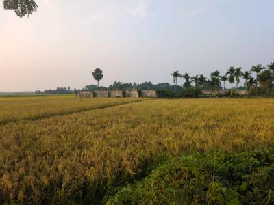 Image of 720 Sq.ft Residential Plot / Land for sale in New Town, Kolkata for Rs. 1300000