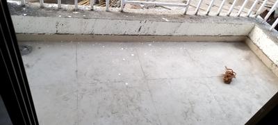 Balcony Image of 545 Sq.ft 1 BHK Apartment / Flat for sale in Shree Samarth Krupa, Dombivli West Thane for Rs. 3650000