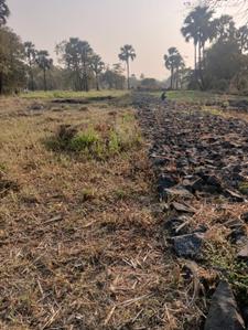 Image of 1000 Sq.ft Residential Plot / Land for sale in Boisar, Mumbai for Rs. 1000000