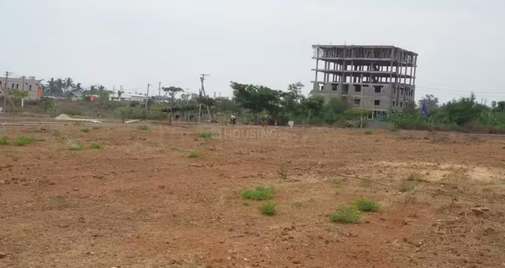 STBL Main Image 1