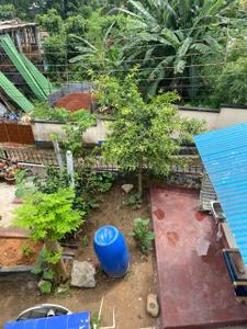 Image of 1500 Sq.ft 3 BHK Independent House for rent in Lichubagan, Agartala for Rs. 35000