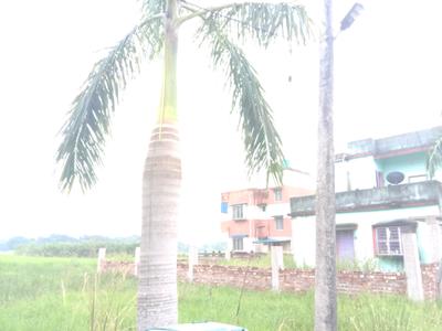 Image of 720 Sq.ft Residential Plot / Land for sale in Fresco Fountain City Plots, Sankharipota, Raypur for Rs. 270000