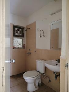 Common Bathroom Image of 1340 Sq.ft 3 BHK Apartment / Flat for rent in Jaypee Aman, Aurangabad Noida for Rs. 19000