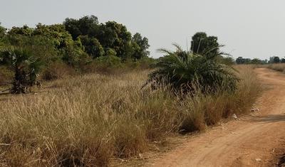 Image of 2540 Sq.ft Residential Plot / Land for sale in Kalavai, Ranipet for Rs. 4500000