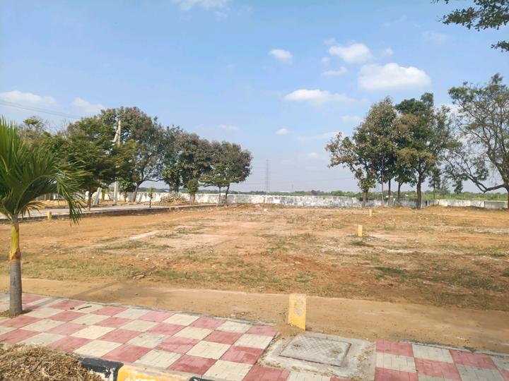 Golden City Main Image 1