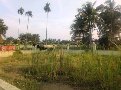 Bhasa Eco Village Plot View 2