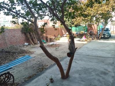 Image of 2702 Sq.ft 4 BHK Farm House for sale in Pital Nagri, Moradabad for Rs. 15000000