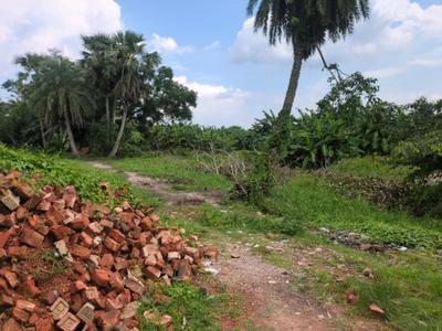 Bratachari Gram Plot View 2