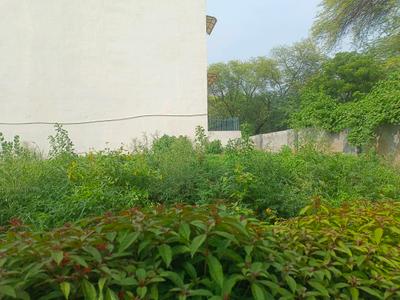 Residential Plot