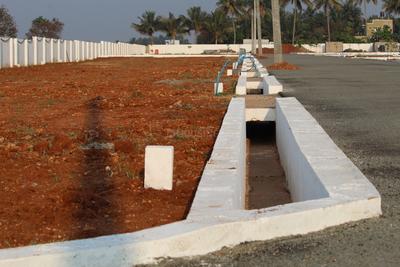 Image of 1605 Sq.ft Residential Plot / Land for sale in Kangayampalayam, Coimbatore for Rs. 4232000