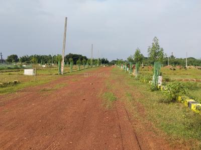 Image of 1200 Sq.ft Residential Plot / Land for sale in Balianta, Bhubaneswar for Rs. 1440000