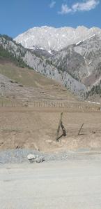 Image of 43560 Sq.ft Residential Plot / Land for sale in Sonwar Bagh, Srinagar for Rs. 50000000
