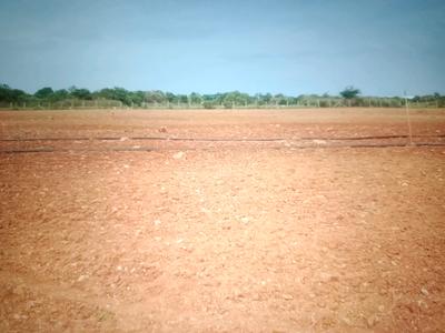 Image of 1089 Sq.ft Residential Plot / Land for sale in Pen, Raigad for Rs. 269000