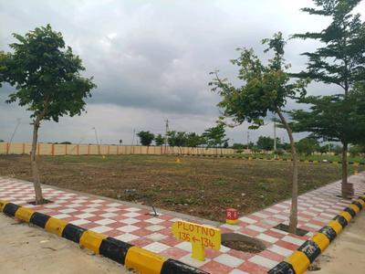 Kandi Plot View 1
