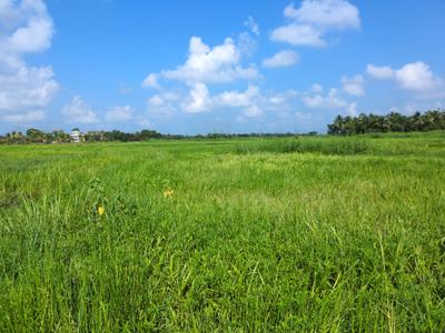 Image of 1440 Sq.ft Residential Plot / Land for sale in Wander Valley, Joka, Kolkata for Rs. 512121