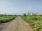 YEIDA Individual Residential Plots Main Image 1