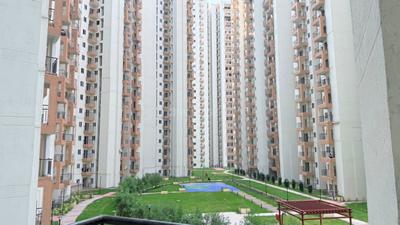 Image of 720 Sq.ft 2 BHK Apartment / Flat for rent in Amrapali Dream Valley 2, Noida Extension, Greater Noida for Rs. 18000