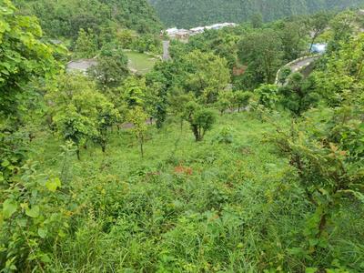 Image of 2700 Sq.ft Residential Plot / Land for sale in Thano, Dehradun for Rs. 27500000