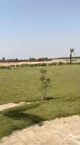 Image of 140 Sq.ft Residential Plot / Land for sale in Jait, Vrindavan for Rs. 4900000